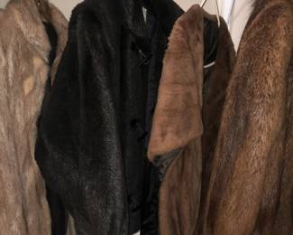 Fur jackets and stole