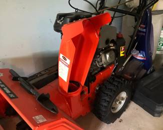 Arian snowblower