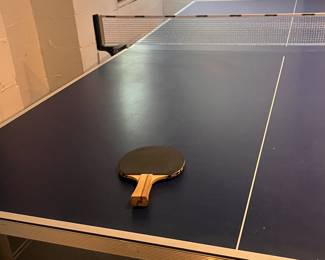 Ping pong table 