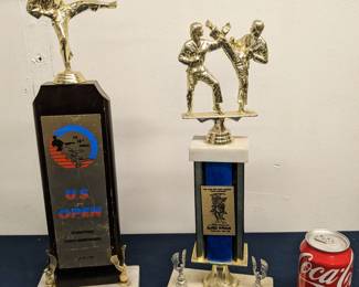 Karate Champ Trophies