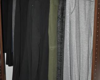 Ladies Slacks in Size 10 Petite by Eileen Fisher, Chicos and More. 