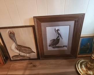 Artist signed Pelicans