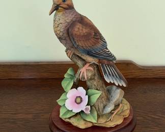 Morning Dove Andrea by Sadek