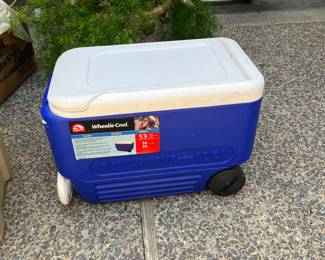 Igloo cooler