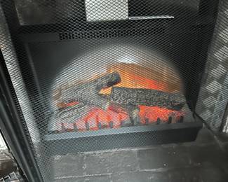 Fireplace Insert and Fireplace Screen 