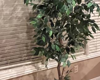 Faux Ficus Tree