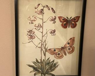 Butterfly framed artwork 