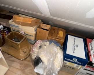 Things hanging out in the eaves