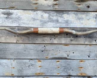 Massive 6’ 3” longhorn Steer horns