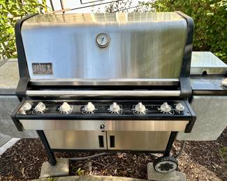 Summit Gold Weber Grill