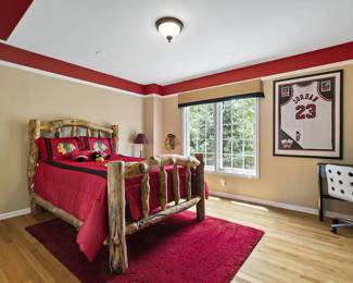 Beautiful Estate Sale Home in Rivers Edge across the Street from St. Charles North High School off Red Gate Road and Meadow View Dr. View of  Bulls Themed BR