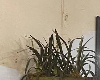 EXTRA NICE ARTIFICIAL PLANT AND CONTAINER