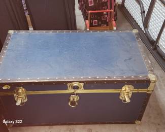 Blue Trunk
