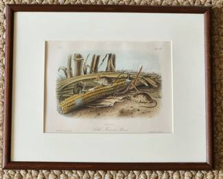 Little Harvest Mouse Print
