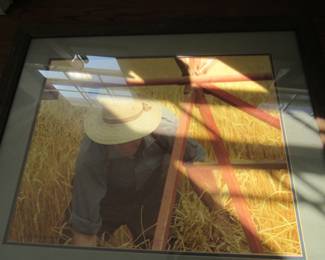 Farmer in Wheat field photograph