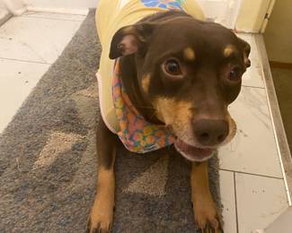 Zelda CUTIE!!!