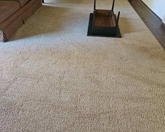Large room rug