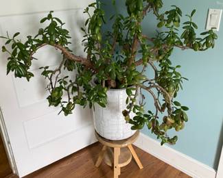 Estate Sales By Olga in Somerville, NJ