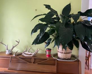 Estate Sales By Olga in Somerville, NJ