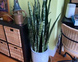 Estate Sales By Olga in Somerville, NJ