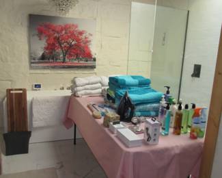 Lots of beach/pool towels! Chandelier is for sale too!