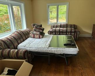 sleeper sofa & loveseat