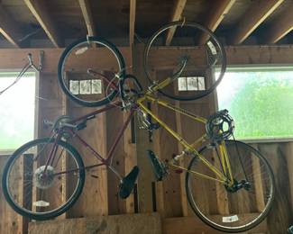 Schwinn bike, Puegot bike