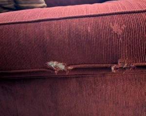 #2	Red corduroy sofa with loose back cushions as is seat cushion 97 long	 $45.00 
