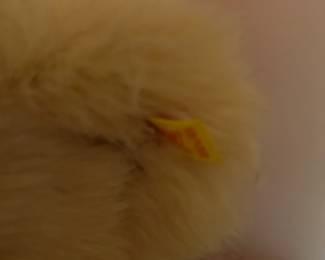 #108	Steiff Teddy Bear w/tag in ear - 21"L	 $100.00 
