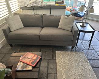 Pull out sleeper couch