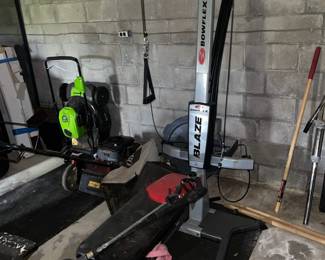 Bowflex Blaze
