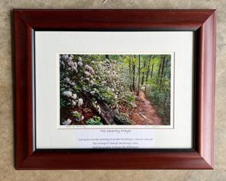 Framed photograph "Path to Serenity"  signed by William A. Britten