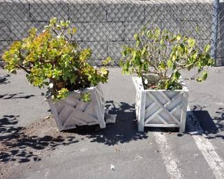 Lot # : 502 - Plants & succulent in plastic assembled planter
