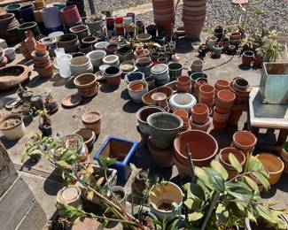 Lots and lots of pots