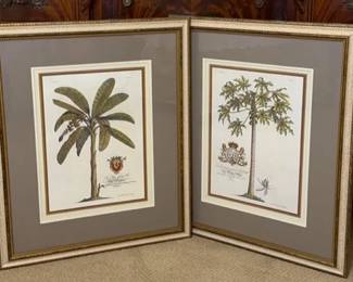 Tropical Framed Wall Art