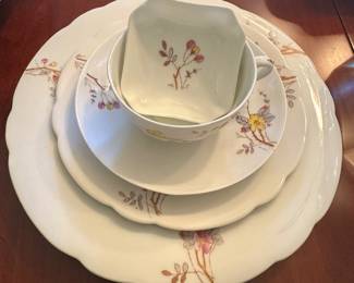 Set of antique china in brown tones with serving pieces