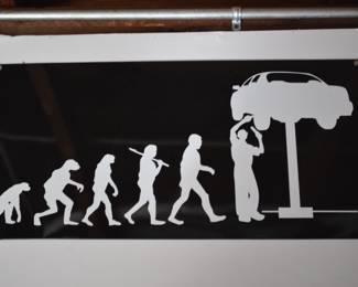 Evolution of Man