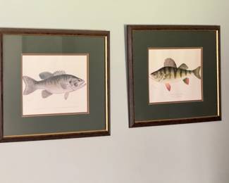 (2) Fish Prints
