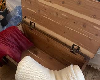 Beautiful Cedar Trunk