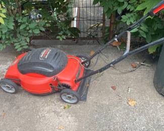 Electric Mower