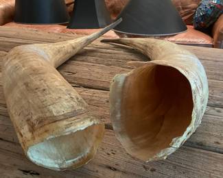 #47 -$150 Horn of Ankole-Watusi 26"H x 6 1/2 bull horn