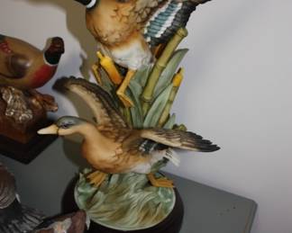 Cast rare twin mallards