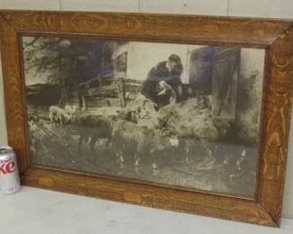 Oak Frame Sheep Picture