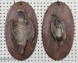 Pair of Austrian Terracotta Grouse Mounts