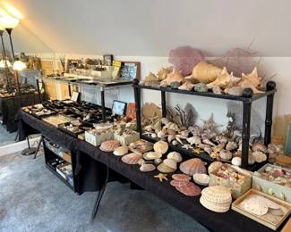 The “Curiosity Room” filled with shells, rock specimens, arrowheads, bird’s nests and other amazing things.  We didn’t know we liked this until we did the research.  This family had a one of a kind collection of incredible samples!  You’ll never see these things again!