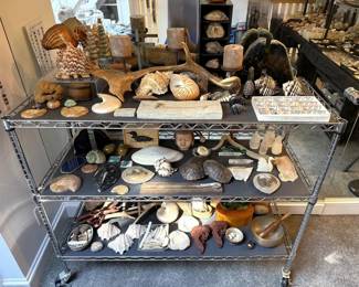 Stunning array of shells, rocks and other specimens.  We love this room!