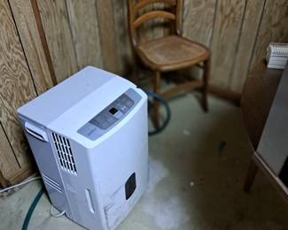Dehumidifier and victorian chair