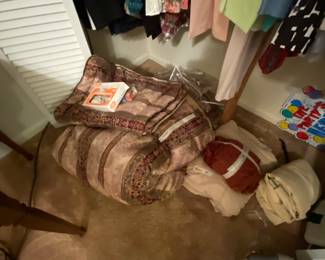 Closet off step down den