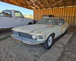 230  1970 Ford Mustang 