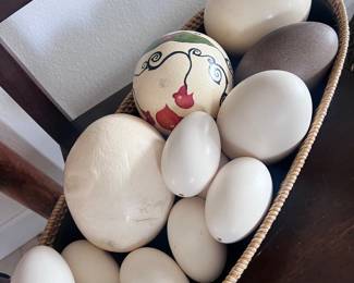 Real Ostrich eggs